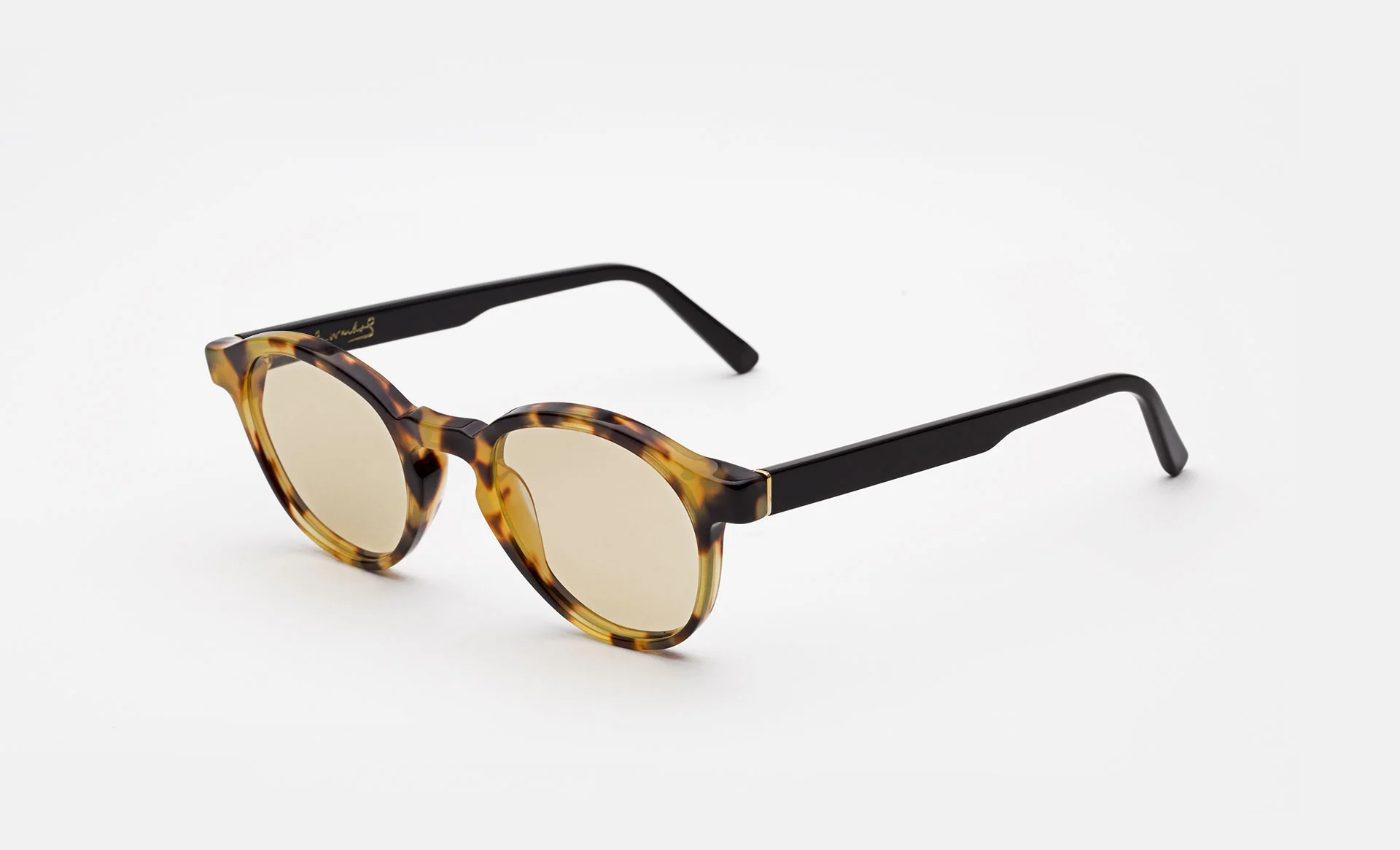 The Warhol Tortoise - Image 2