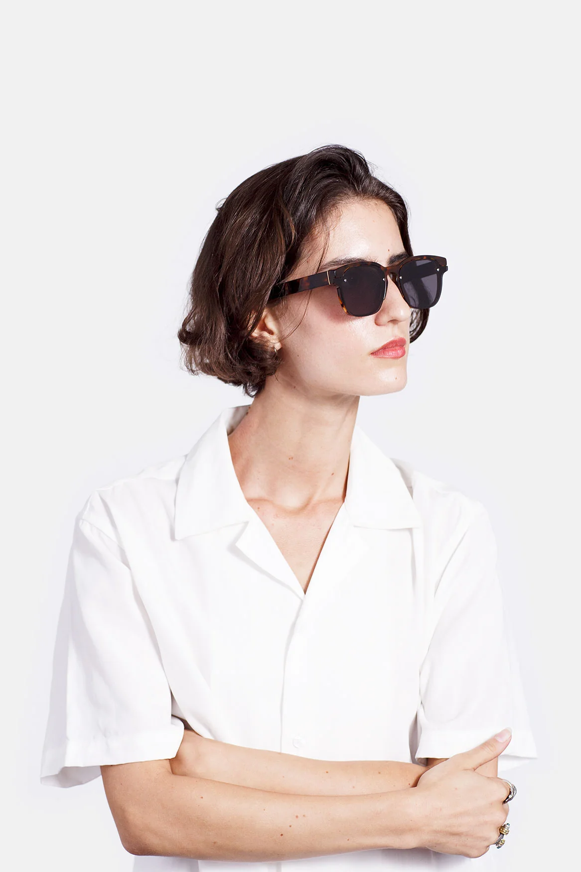 Euclid Classic Havana - Image 4